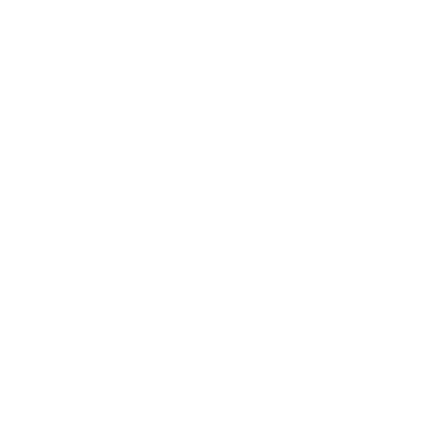 icon-image